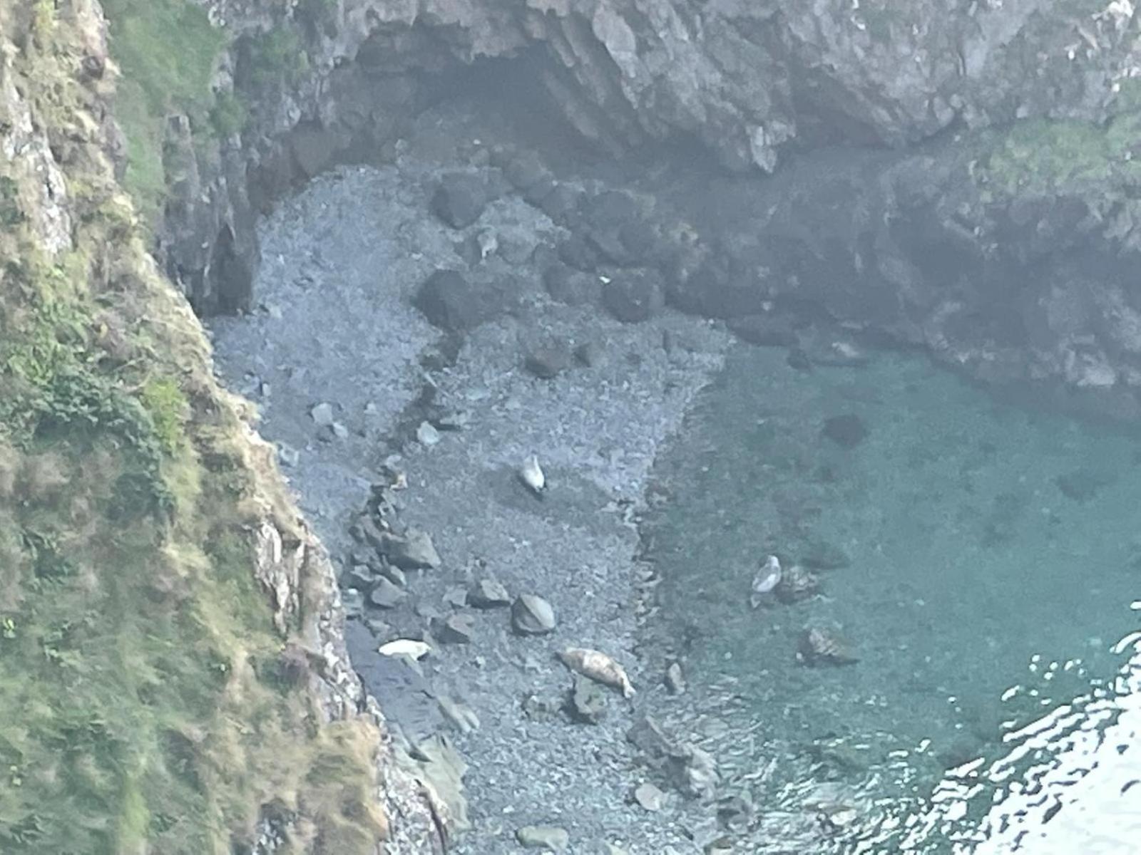 Trefechan Wen Barn Llanwnda  Εξωτερικό φωτογραφία